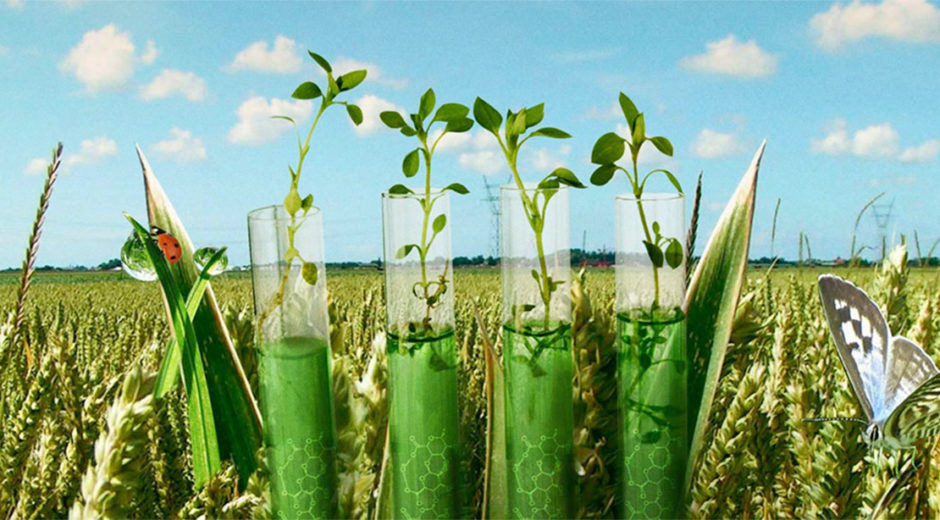 Second-Nature_Agri&Life